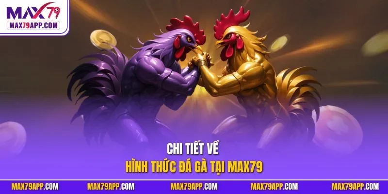Chi tiết về hình thức đá gà tại max79