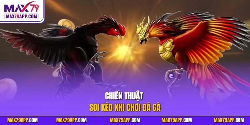 Chiến thuật soi kèo khi chơi đá gà 