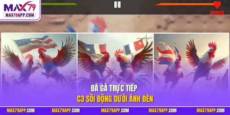 Đá gà trực tiếp C3 sôi động dưới ánh đèn