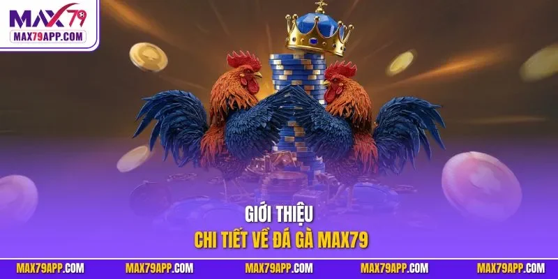 Giới thiệu chi tiết về đá gà max79