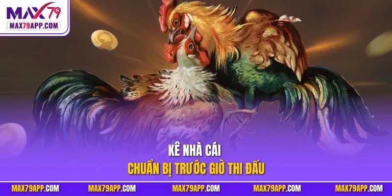 Kê nhà cái chuẩn bị trước giờ thi đấu