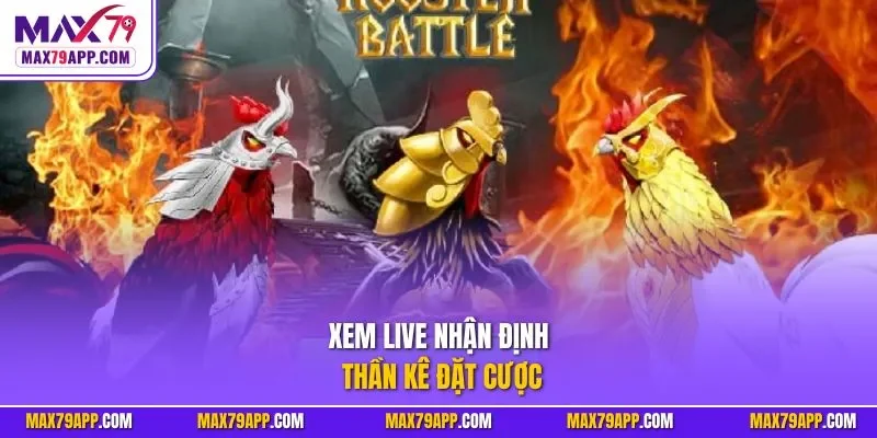 Xem live nhận định thần kê đặt cược